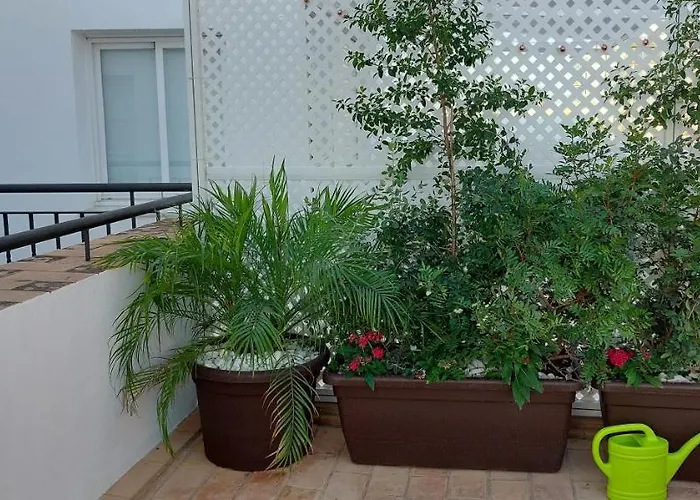 El 2 De Flamenco Atico 3ºa Cadiz