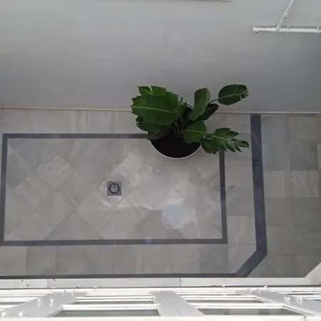 El 2 De Flamenco Atico 3ºa *