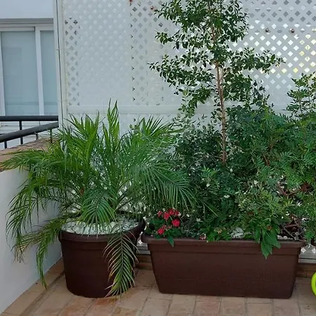 El 2 De Flamenco Atico 3ºa Cádiz