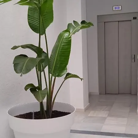 El 2 De Flamenco ático 3ºa Appartamento Cadice